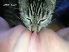 Cat giving his horny owner a thorough licking between her legs